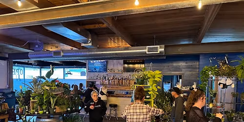 North Bend Plant Nursery Pop-Up at NoBe by Dragonfly Nursery | Saturday, November 15th | 11-3