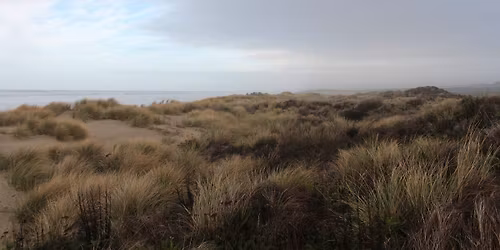 Hike: Oregon Dunes