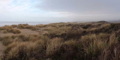 Hike: Oregon Dunes