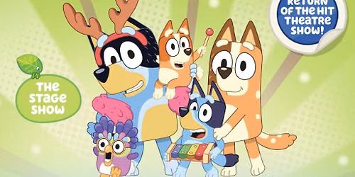 Bluey's Big Play