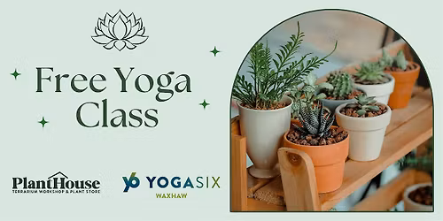 Free Pop-Up Yoga Class @ The PlantHouse Waverly