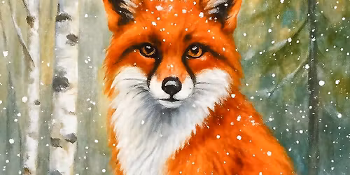 Red Fox