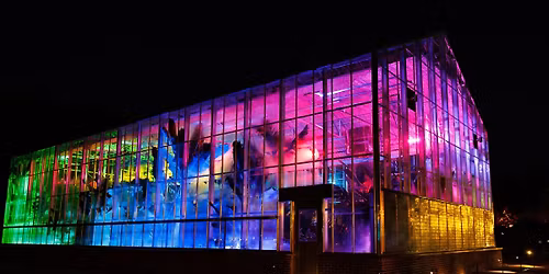 Holiday Wonders at the Garden Happy Hula-Days