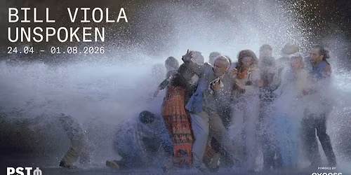 Bill Viola. Unspoken