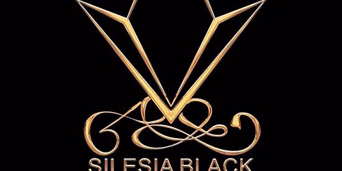 VIII INTERNATIONAL TOURNAMENT SILESIA BLACK DIAMOND 18-20.09.2026