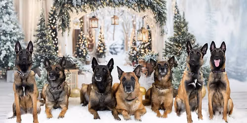 Christmas Photos with Kinsey Winger Photography. 