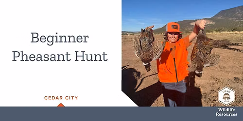 Beginner Pheasant Hunt - Cedar City
