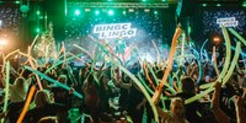 Bingo Lingo