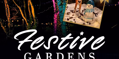 John Sewell Music at Telford Festive Gardens 