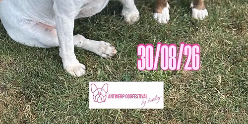 ANTWERP DOGFESTIVAL 