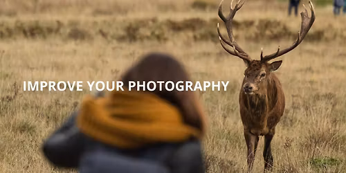 Workshop : Improve Your Photography