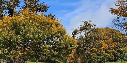 Outdoor Yoga,  Queens Park, Brighton - Saturday's 10-11.15am