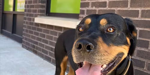 GENTLE GIANTS: Supervised Playgroup + Enrichment Session (MUST PRE-REGISTER!)