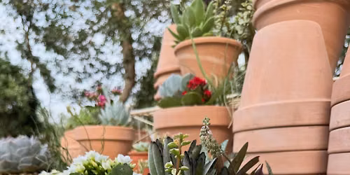 Create Your Own Custom Succulent Container