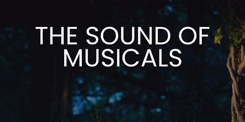 The Sound of Musicals - Bristol