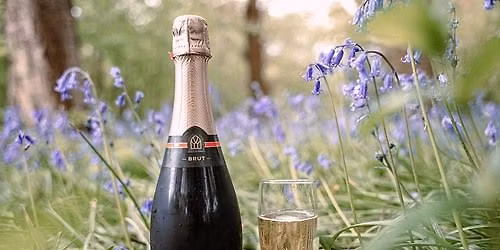 Bubbles & Bluebells Evening Tour