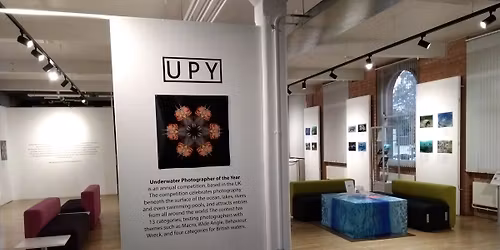 Underwater Photographer of the Year