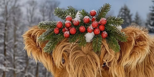 Painting With Ginger