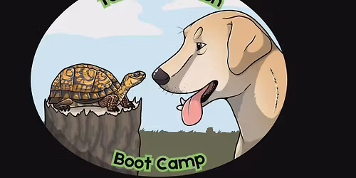 Turtle Detection Boot Camp 