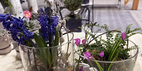 Blooming Bulbs of Spring Class