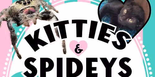 Kitties & Spideys at Kitty Kisses Cat Caf\u00e9