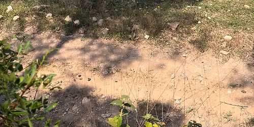 Ritme Cavall (3 d\u00edas de caballos y naturaleza) con coaching, constelaciones, emociones, comida km 0