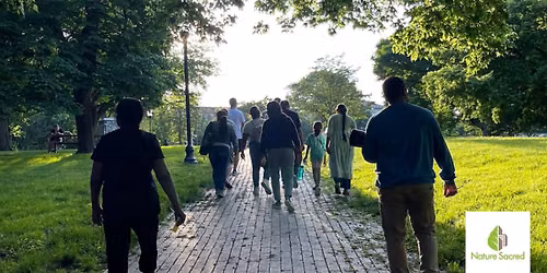 August Mindfulness Nature Walks