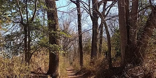 July 4th Continental Lane Hike