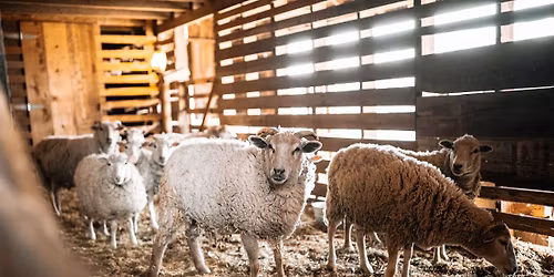 Spring Into Nash at Nash Farm