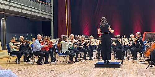 **Members of WNAG only** Relaxed Orchestral Concert - teens\/adults only