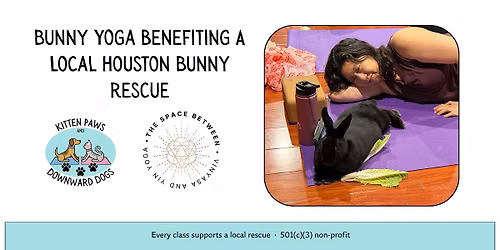 Bunny Yoga Houston Benefitting a Local Rabbit Rescue
