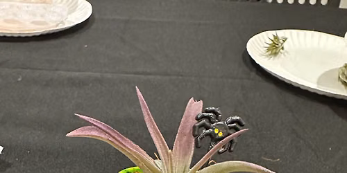Little Gardeners: paint a Halloween mini planter 10\/17\/26