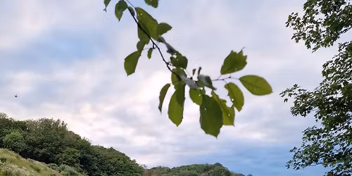 Serenity by the Sea - Geopark Festival