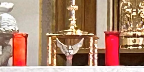 Adoration and Confession