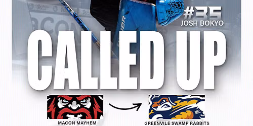 Greenville Swamp Rabbits vs. South Carolina Stingrays