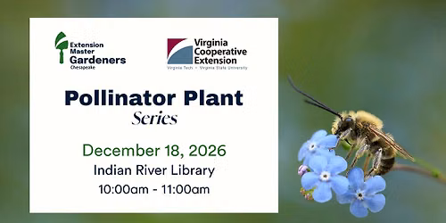 Pollinator Plant Series 2026