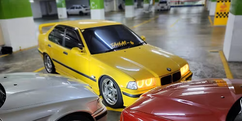 Family Fun at the Park!