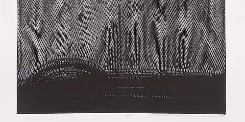 Le grand hommage a Celia Cruz