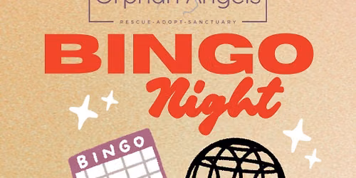 Orphan Angels Bingo 2026