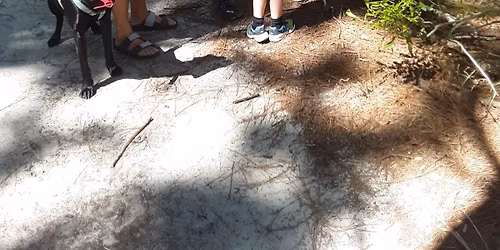 Storytelling with a Ranger