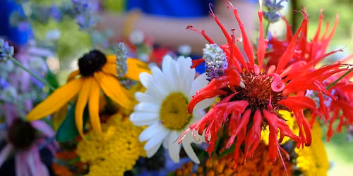 Pollinator Palooza