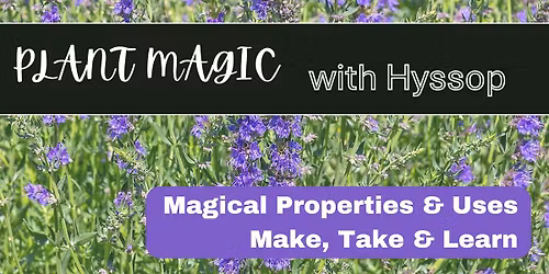 Plant Magic with Hyssop