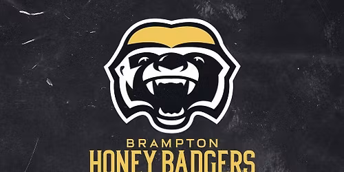 Brampton Honey Badgers vs. Montreal Alliance