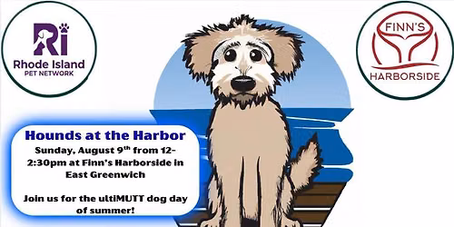 Hounds at the Harbor