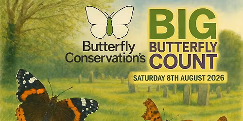 Big Butterfly Count in the churchyard 