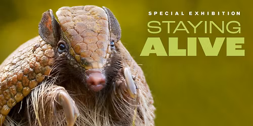 Staying Alive: Opens March 14