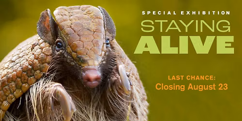 Staying Alive: Last Chance \u2013 Closing August 23