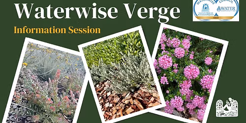 Waterwise Verge Information Session