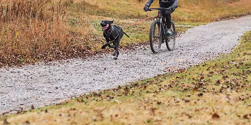 2025 Timberwolf Dryland Race 
