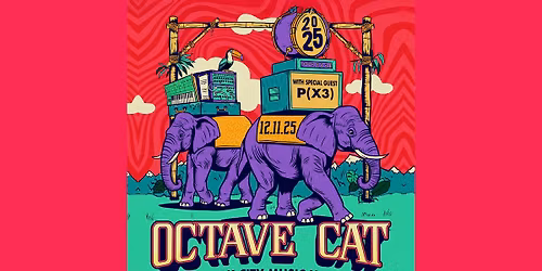 Octave Cat with Px3